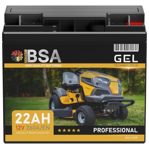 Rasentraktor batterie 12v 22ah - batterie,